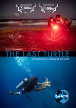 Watch The Last Turtle (Short 2019) Myflixer