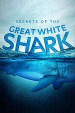 Watch Secrets of the Great White Shark Myflixer