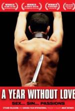 Watch A Year Without Love Myflixer