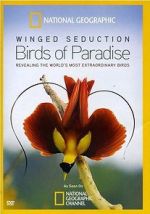 Watch Winged Seduction: Birds of Paradise Myflixer
