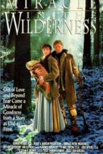 Watch Miracle in the Wilderness Myflixer