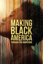 Watch Making Black America: Through the Grapevine Myflixer