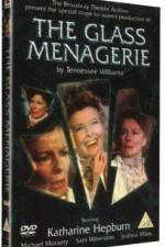 Watch The Glass Menagerie Myflixer