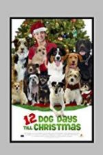 Watch 12 Dog Days Till Christmas Myflixer