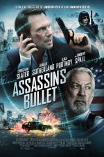 Watch Assassin's Bullet Myflixer