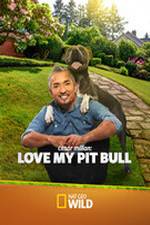 Watch Cesar Millan: Love My Pit Bull Myflixer