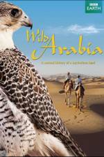 Watch Wild Arabia Myflixer