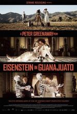 Watch Eisenstein in Guanajuato Myflixer