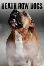 Watch Death Row Dogs Myflixer
