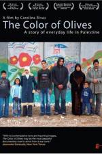 Watch The Color of Olives Myflixer