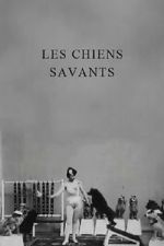 Watch Les chiens savants Myflixer