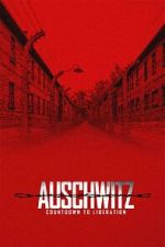 Watch Auschwitz: Countdown to Liberation Myflixer