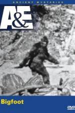 Watch A&E Ancient Mysteries - Bigfoot Myflixer