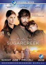 Watch Love Finds You in Sugarcreek Myflixer