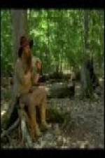 Watch The Goblin and the Woodsman Myflixer