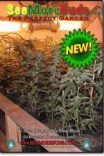 Watch SeeMoreBuds: Vol. 3 Myflixer