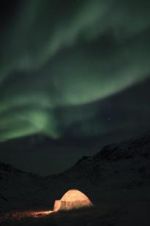 Watch The Last Igloo Myflixer