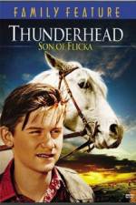 Watch Thunderhead - Son of Flicka Myflixer