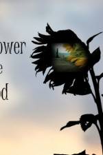 Watch The Sunflower and the Sun God Myflixer