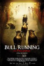 Watch Encierro 3D: Bull Running in Pamplona Myflixer