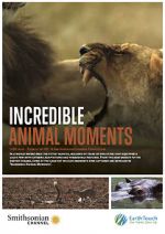Watch Incredible Animal Moments Myflixer
