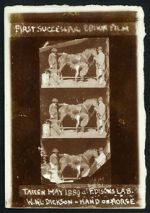 Watch Horse Shoeing Myflixer