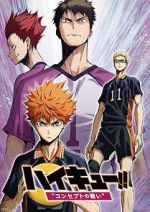 Watch Haiky�!! Concept no Tatakai Myflixer