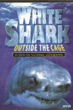 Watch National Geographic white shark:outside the cage Myflixer