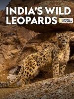 Watch India\'s Wild Leopards (Short 2020) Myflixer