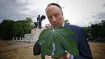 Watch Fig Leaf: The Biggest Cover-Up in History Myflixer
