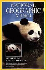 Watch Secrets of the Wild Panda Myflixer