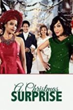 Watch A Christmas Surprise Myflixer