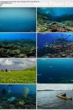 Watch National Geographic: Pacific Ocean Paradise Myflixer