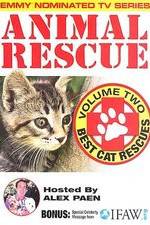 Watch Animal Rescue, Volume 2: Best Cat Rescues Myflixer
