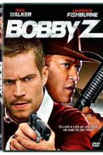 Watch The Death and Life of Bobby Z Myflixer