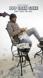 Watch PPP Loan Gone Myflixer