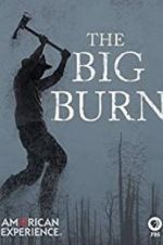 Watch American Experience: The Big Burn Myflixer