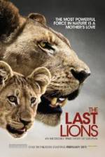 Watch The Last Lions Myflixer