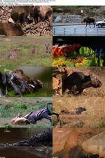 Watch National Geographic - World's Deadliest Lady Killers Myflixer