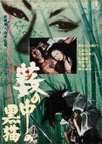 Watch Black Cat Myflixer