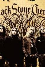 Watch Black Stone Cherry Live in Meridian, MS Myflixer