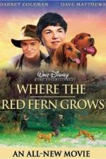 Watch Where the Red Fern Grows Myflixer
