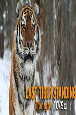 Watch Discovery Channel-Last Tiger Standing Myflixer