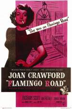 Watch Flamingo Road Myflixer