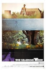 Watch The Learning Tree Myflixer