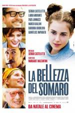Watch La bellezza del somaro Myflixer