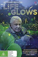 Watch Attenborough\'s Life That Glows Myflixer
