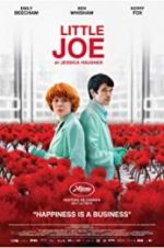 Watch Little Joe Myflixer