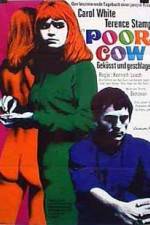 Watch Poor Cow Myflixer