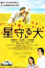 Watch Star Watching Dog Myflixer